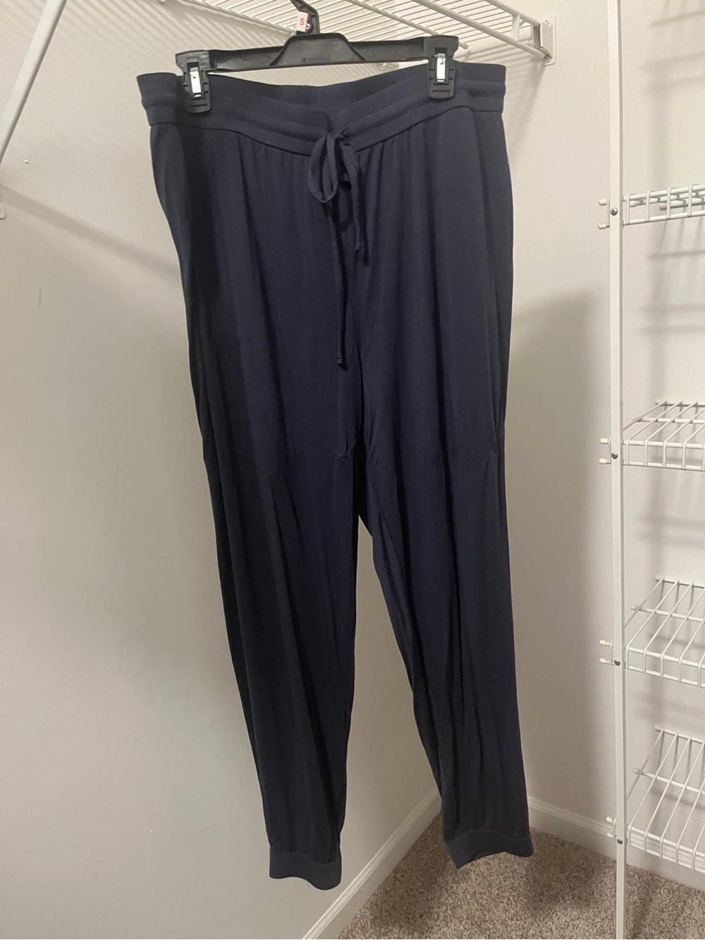 Eileen Fisher jogger pants in ocean like new - Picture 3 of 6